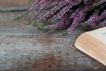 Similar image 13245408