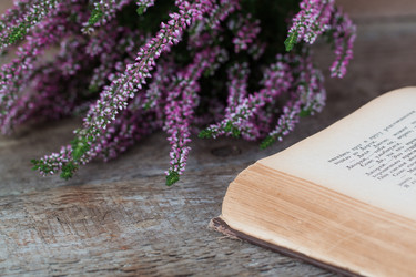 Similar image 13245409