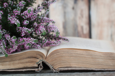 Similar image 13245410