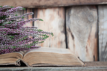 Similar image 13245411