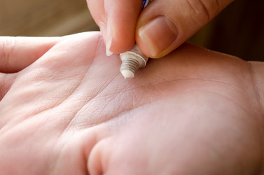 Similar image 13252443