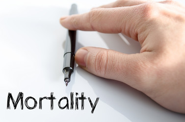 Similar image 13243574