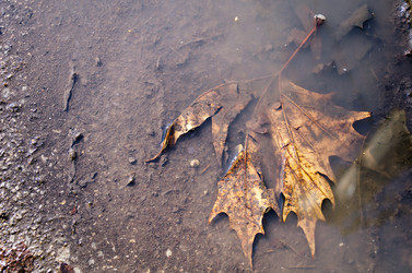 Similar image 13252151