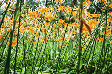 Similar image 13252234