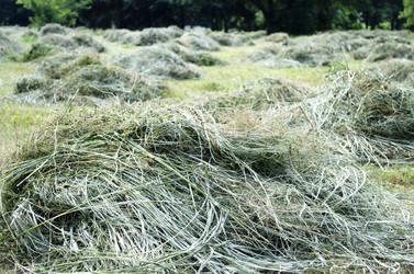 Similar image 13252474