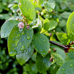 Similar image 13277475