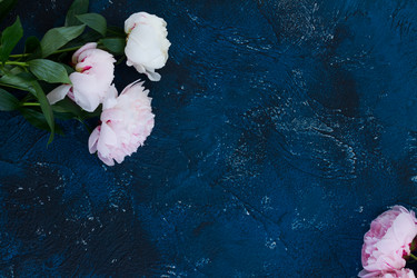 Similar image 13248111