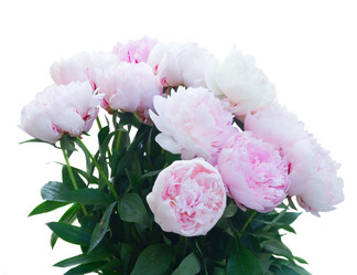 Similar image 13247773