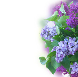 Similar image 13247776