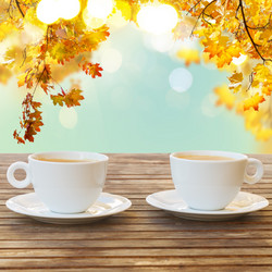 Similar image 13248075