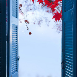 Similar image 13247805