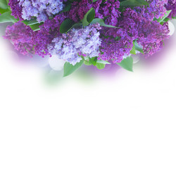 Similar image 13247806