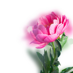 Similar image 13247821