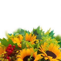 Similar image 13247808