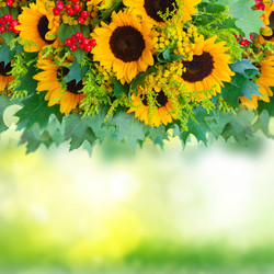 Similar image 13247901