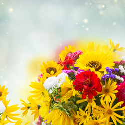 Similar image 13247904