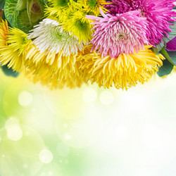 Similar image 13248129