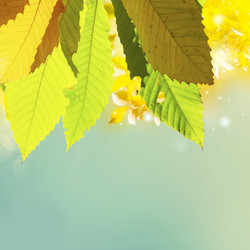 Similar image 13248131