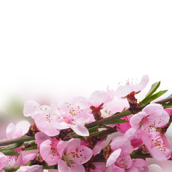 Similar image 13248135