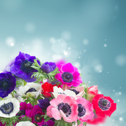 Similar image 13247812