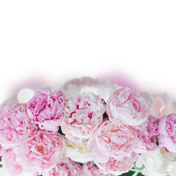 Similar image 13247815