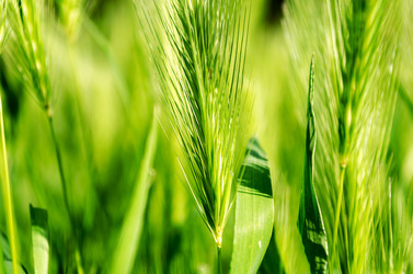 Similar image 13268450