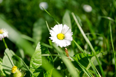 Similar image 13280264