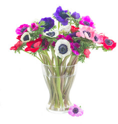 Similar image 13248158