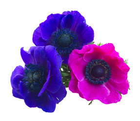 Similar image 13248192