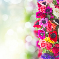 Similar image 13248019