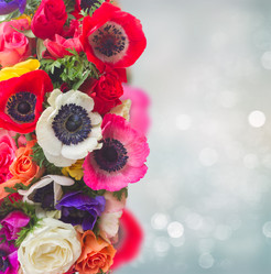 Similar image 13247976