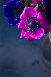 Similar image 13247977