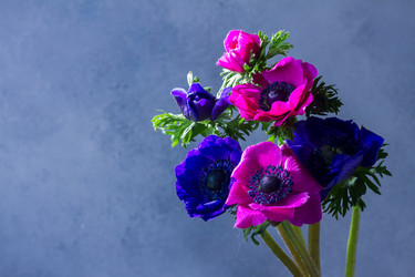 Similar image 13247978