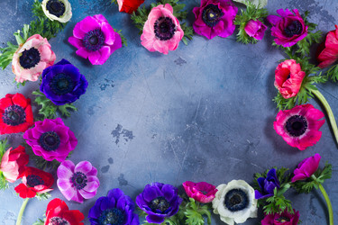 Similar image 13248153