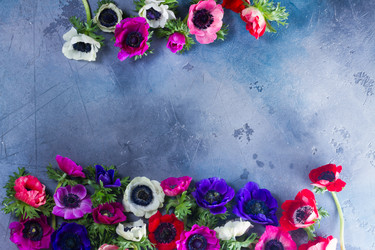 Similar image 13248154