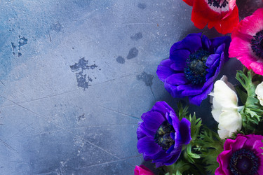 Similar image 13248156