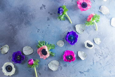 Similar image 13248157