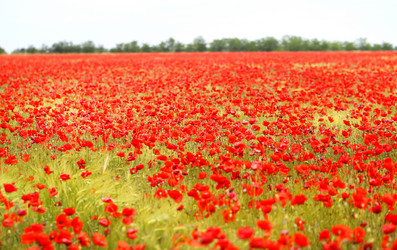 Similar image 13242985