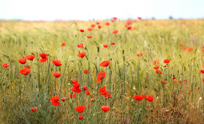 Similar image 13242986