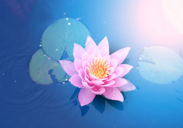 Similar image 13242987