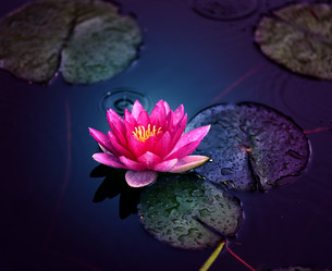 Similar image 13242988