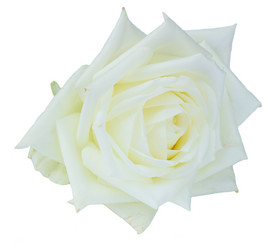 Similar image 13247916