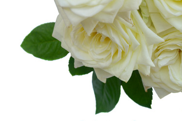 Similar image 13247917