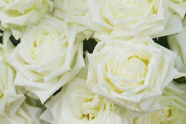 Similar image 13247944