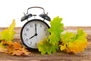 Similar image 13247946