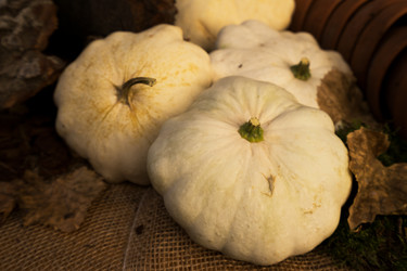 Similar image 13248200