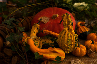 Similar image 13248219