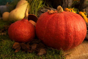 Similar image 13248221