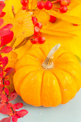 Similar image 13248036