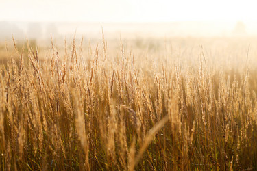 Similar image 13242976